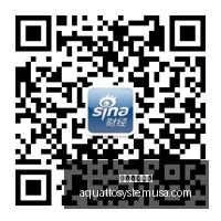 耀眼新品,电竞耳机音,质盛宴来袭,足球投注网站官网,足球投注网站App,足球投注网站下载,足球投注网站登录,足球投注网站平台